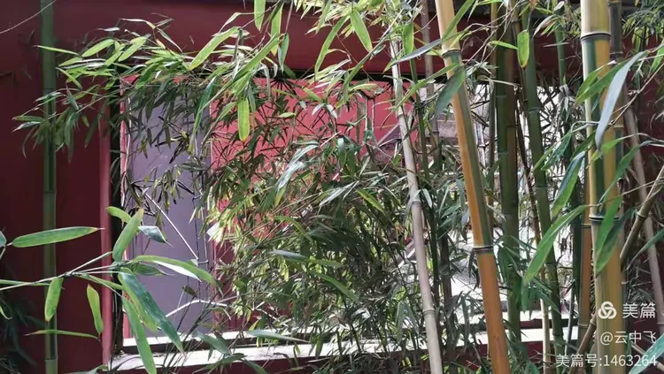 西门：通向山西会馆，已锁🔒旁为诗竹园，关公喜竹，犹感其气节😃